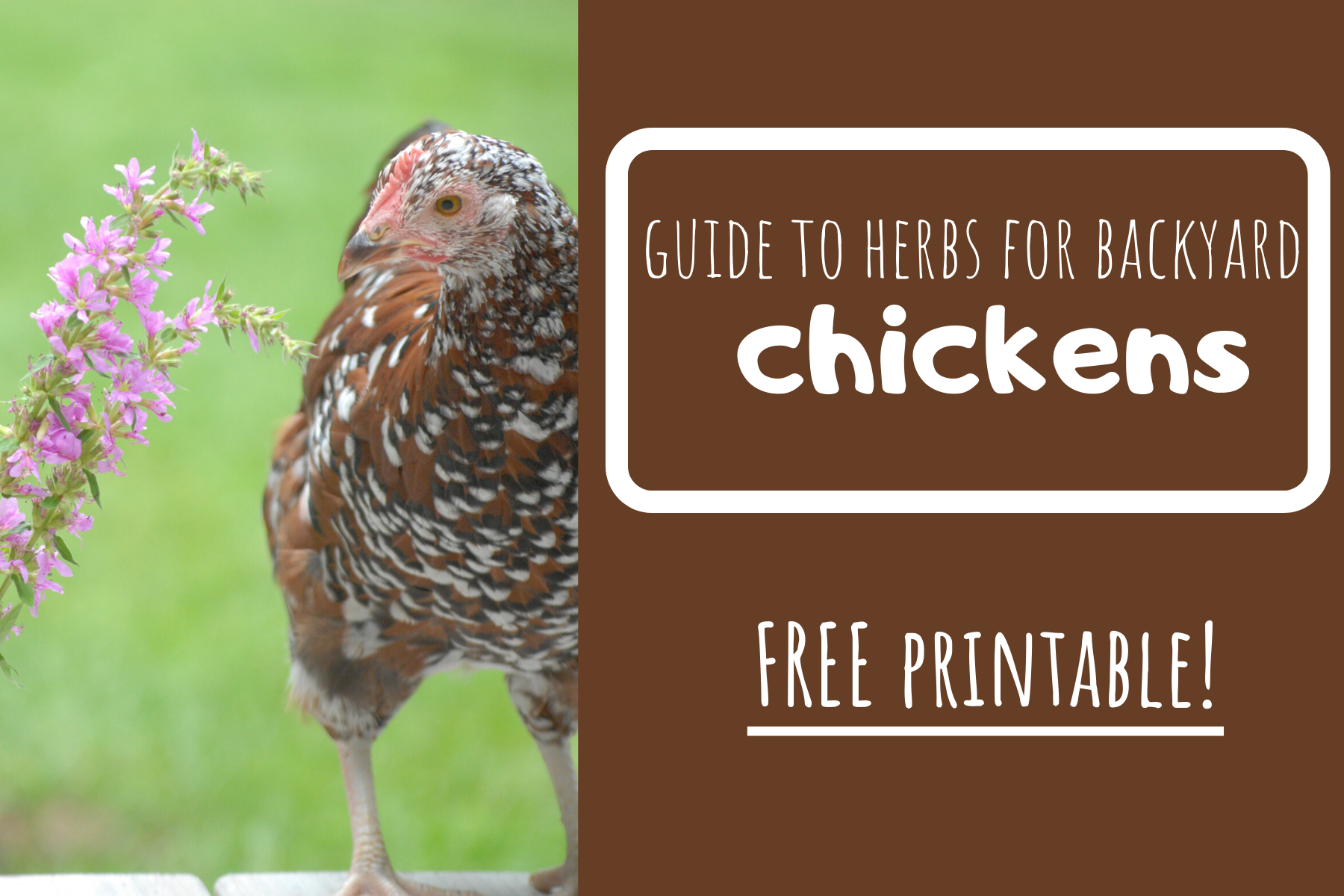 Herb Checklist - The Pioneer Chicks