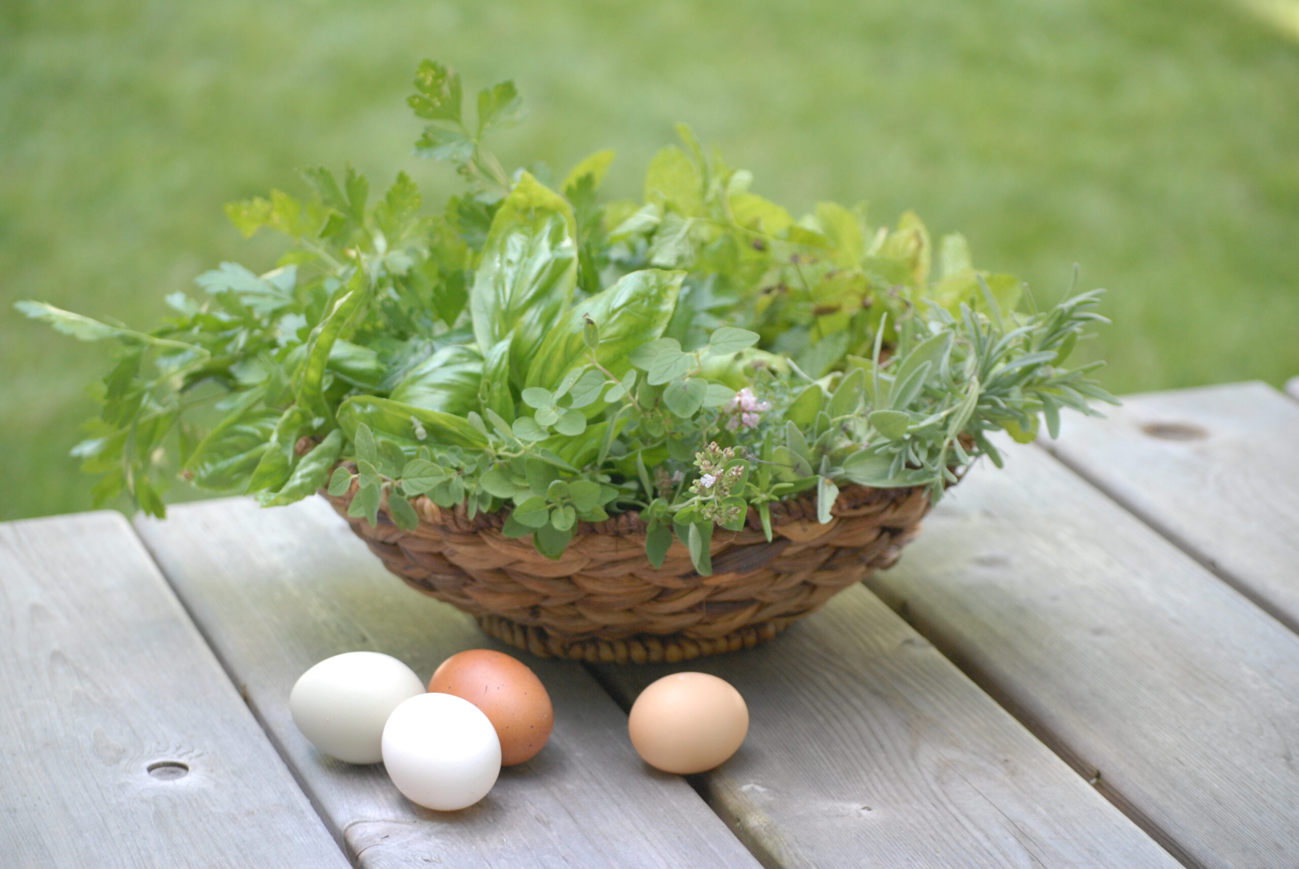 Types Of Herbs For The Homestead Flock - The Pioneer Chicks