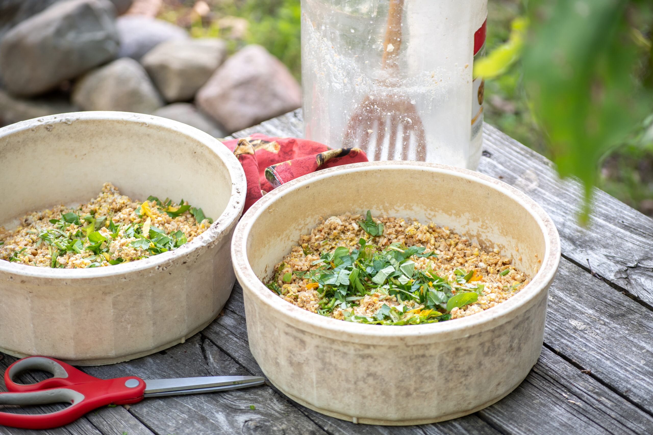 How To Make Fermented Chicken Feed - The Pioneer Chicks